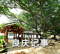 良慶記事